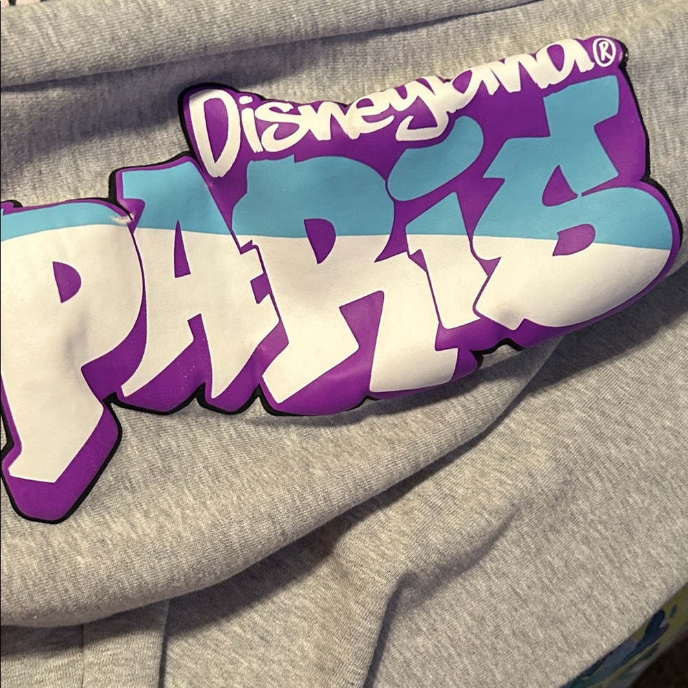 Disneyland Paris Gray Sweatpants - Picture 3 of 6